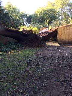 Emergency Storm Damage Tree Removal Columbia
