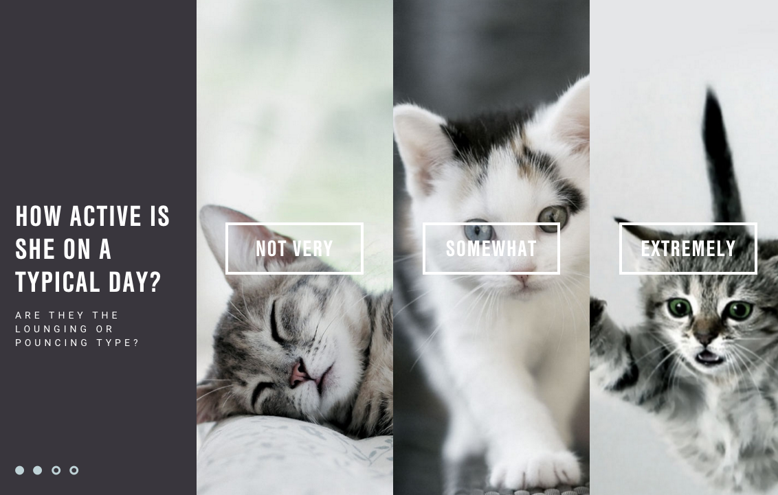 Layout from How To Find An Engagement Ring | PatternTap | ZURB Library