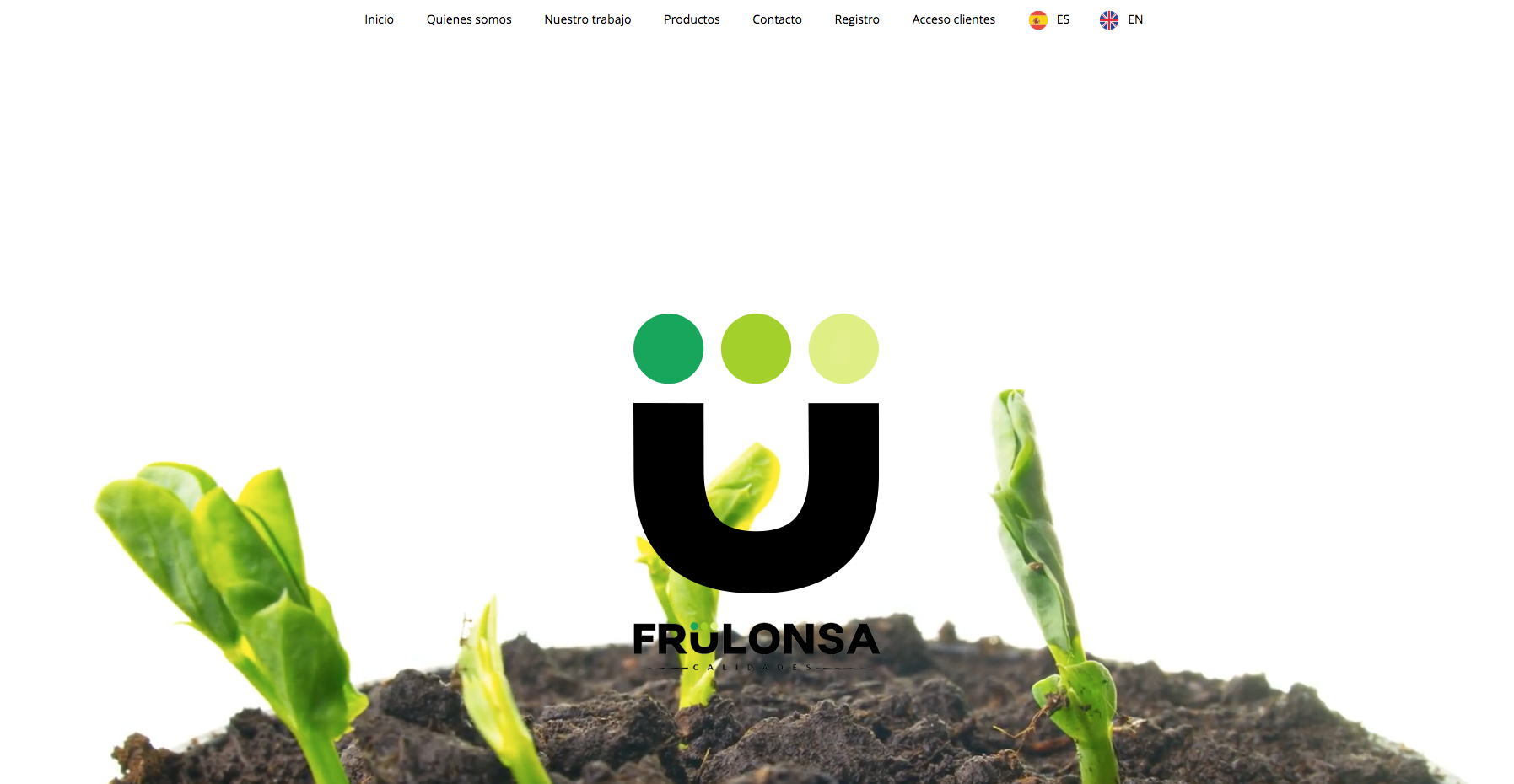 Pagina Web