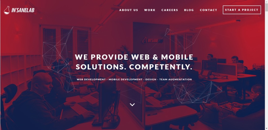 In'saneLab. Let us make your website work better