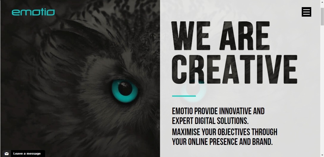 Professional Digital Marketing Agency | Website Design Company | Emotio