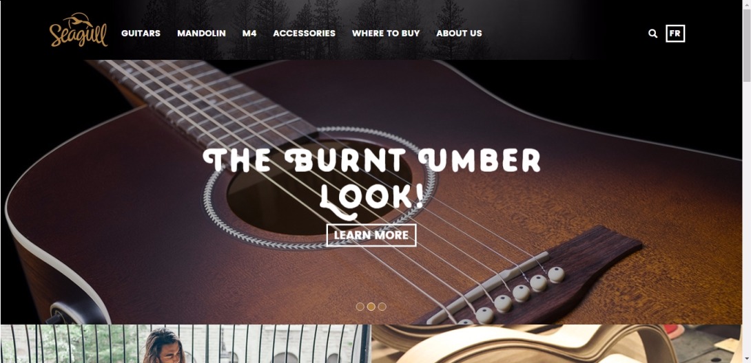 Seagull Guitars