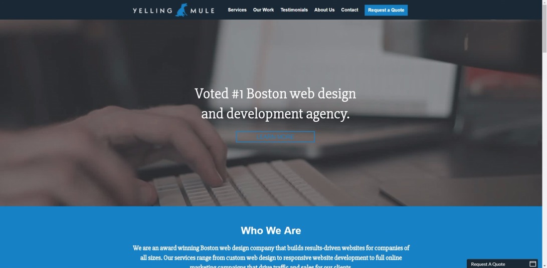 Boston Web Design - Web Development | Yelling Mule