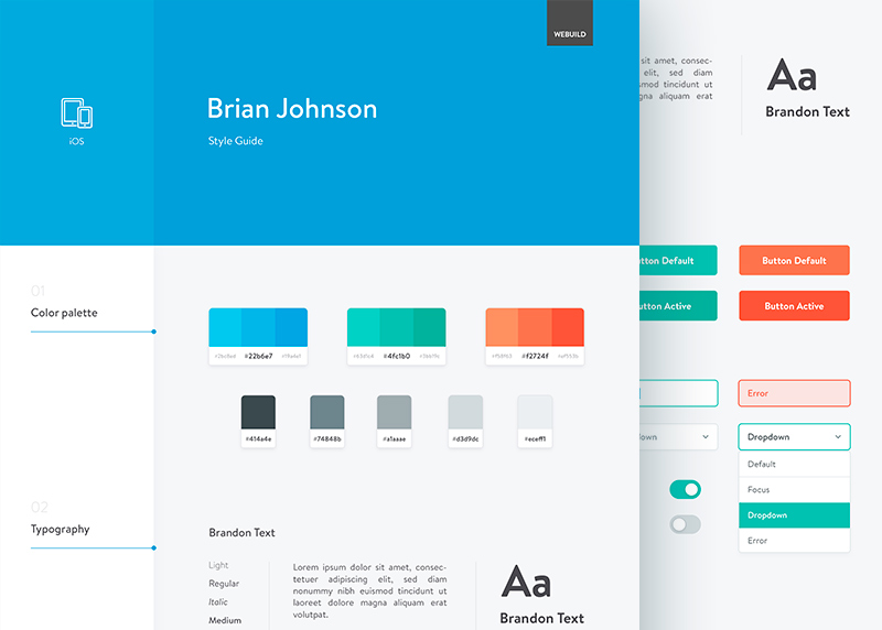 Style Guides by Pro Designers
