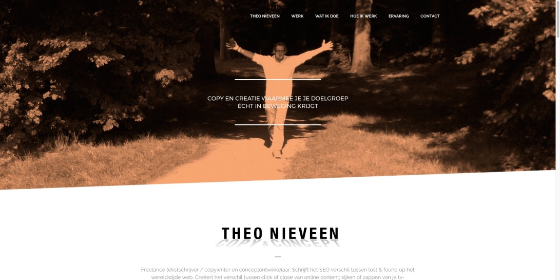 Theo Nieveen