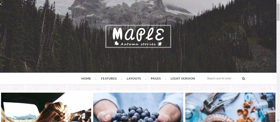 Maple - Responsive Wordpress Blog Theme