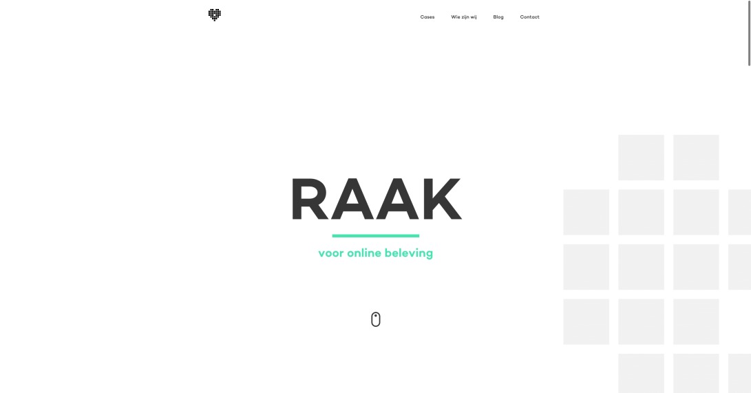 RAAK | voor online beleving