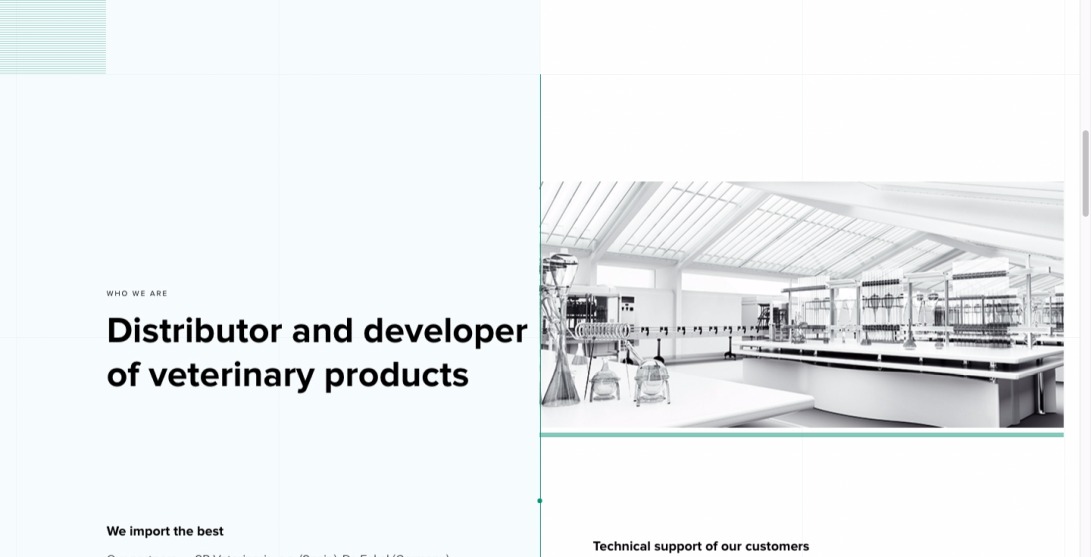 EUROVET - Group of companies