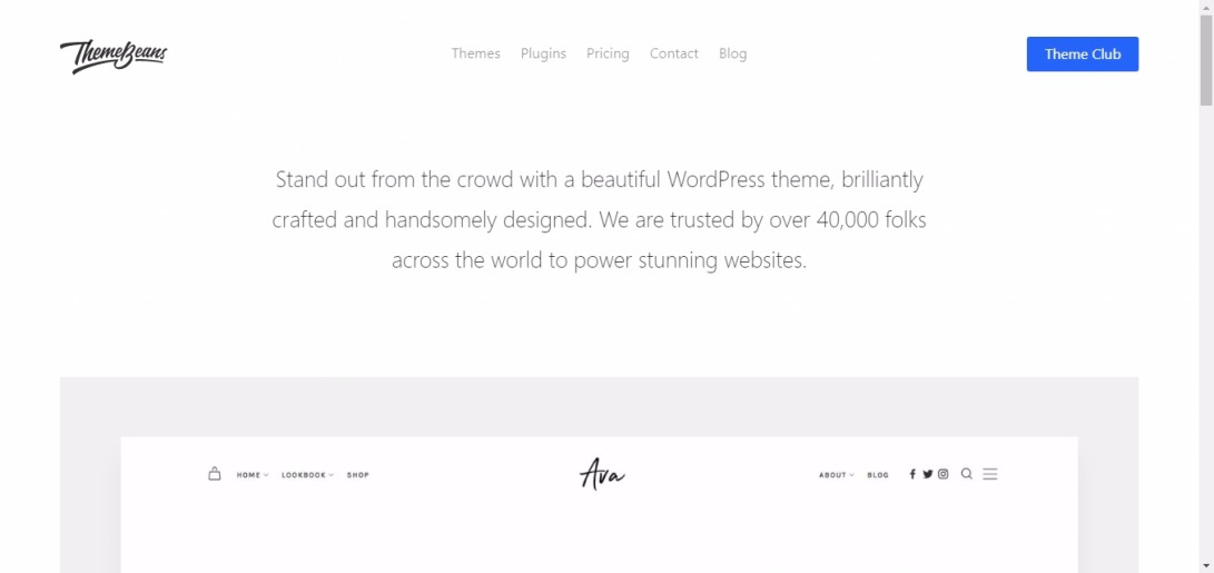 Beautiful Portfolio WordPress Themes for Creatives — ThemeBeans