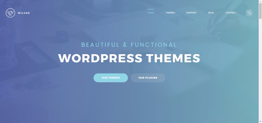 Premium WordPress Themes