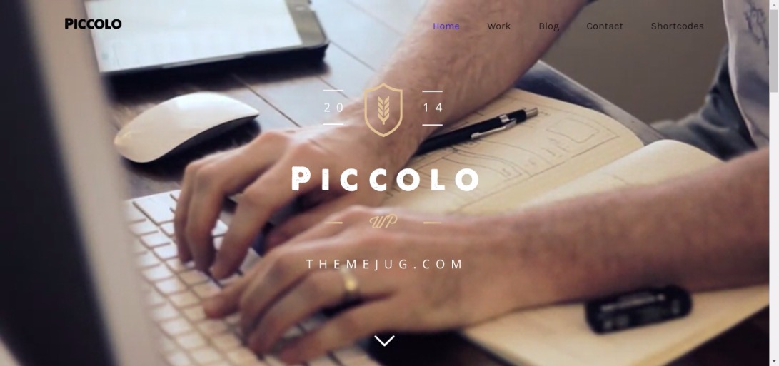 Piccolo Wordpress Agency Theme