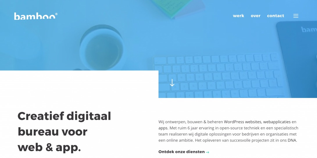 BAMBOO | Internetbureau voor web & app