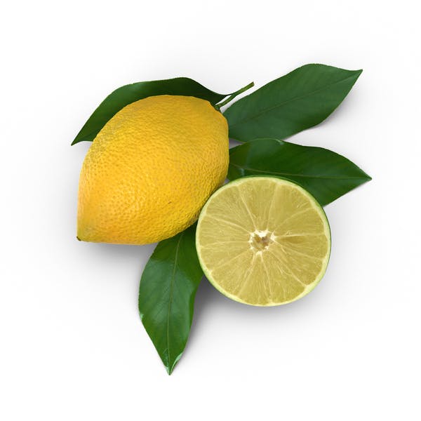 Lemon and Sliced Lime by PixelSquid360 on Envato Elements