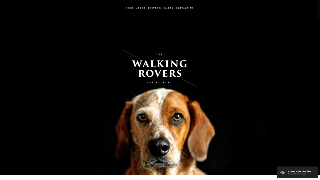 Walking Rovers