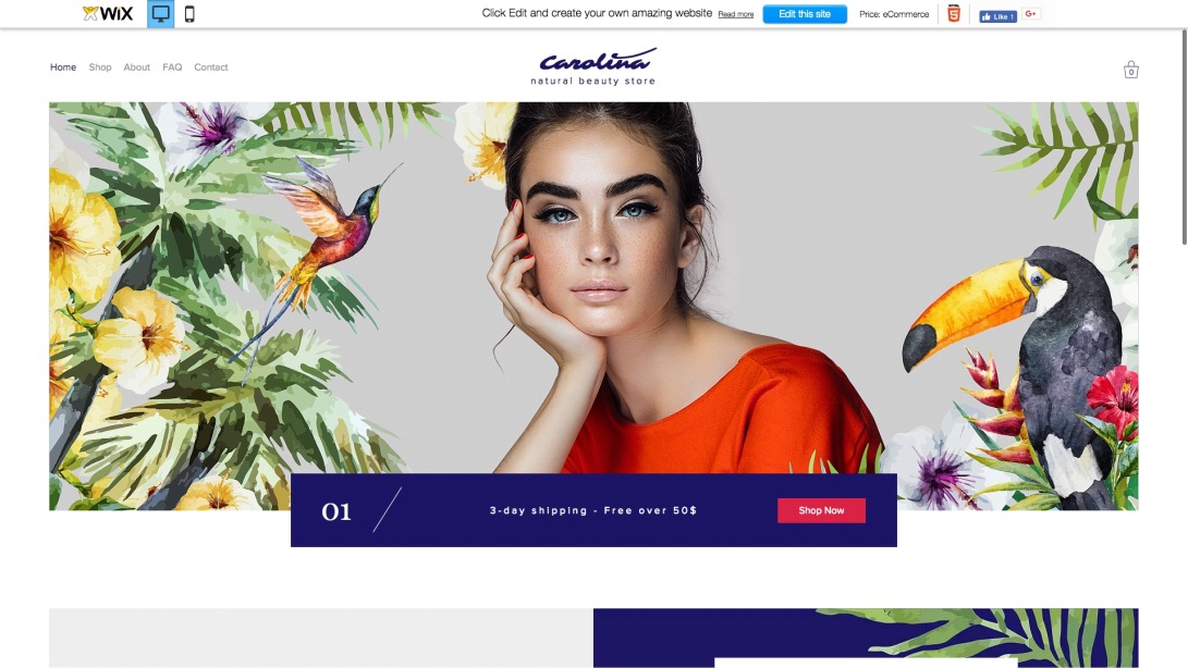 Natural Beauty Store Website Template | WIX