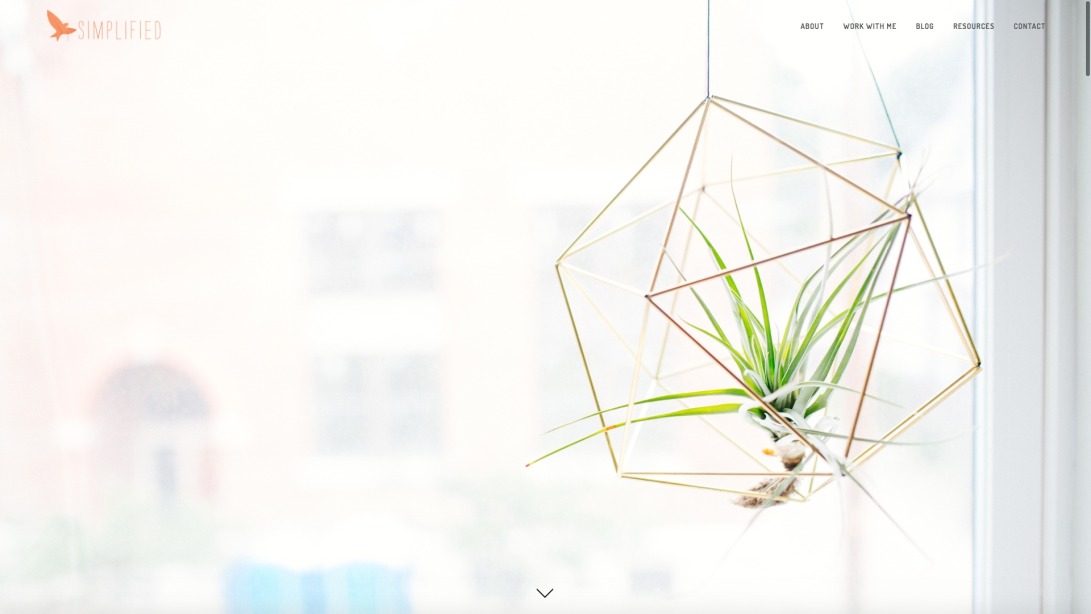 simplified.life