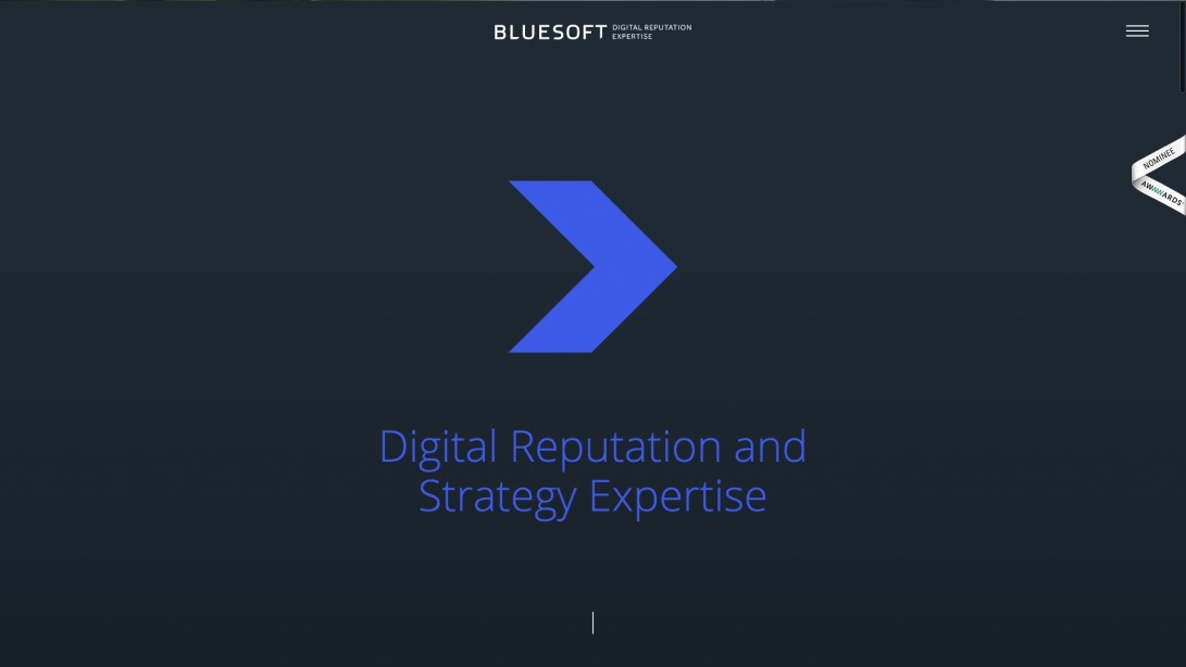 Bluesoft - Digital Reputation Expertise