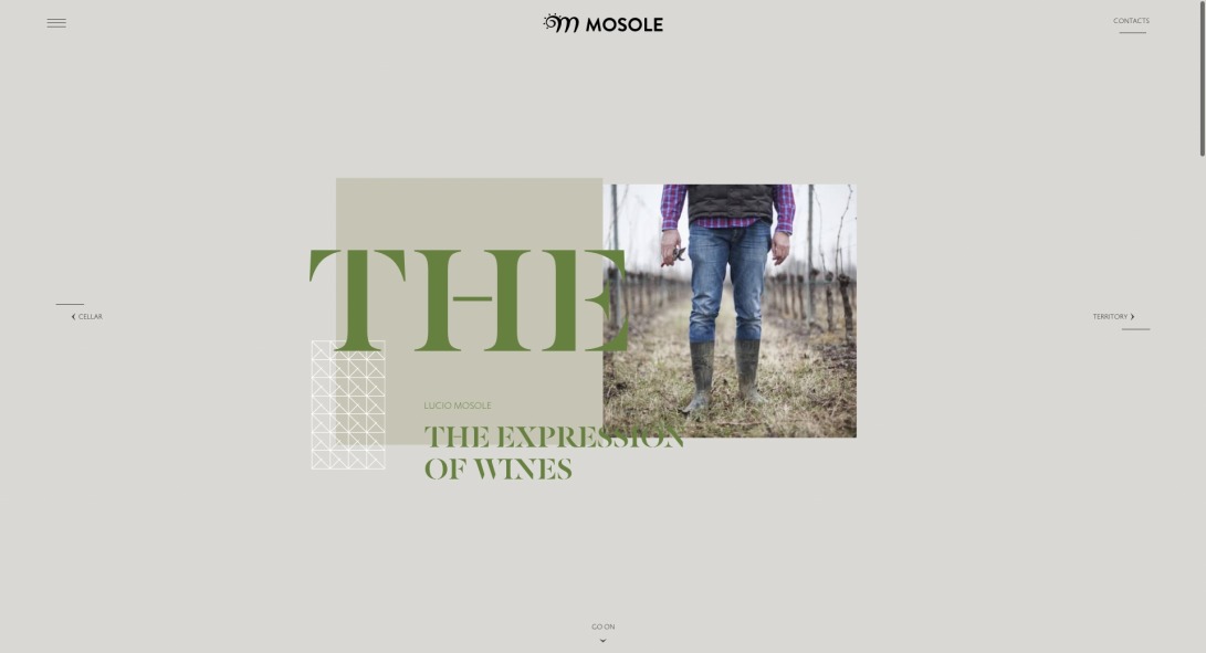 Winery: IGT and Lison DOC wines in Venice Mosole estate