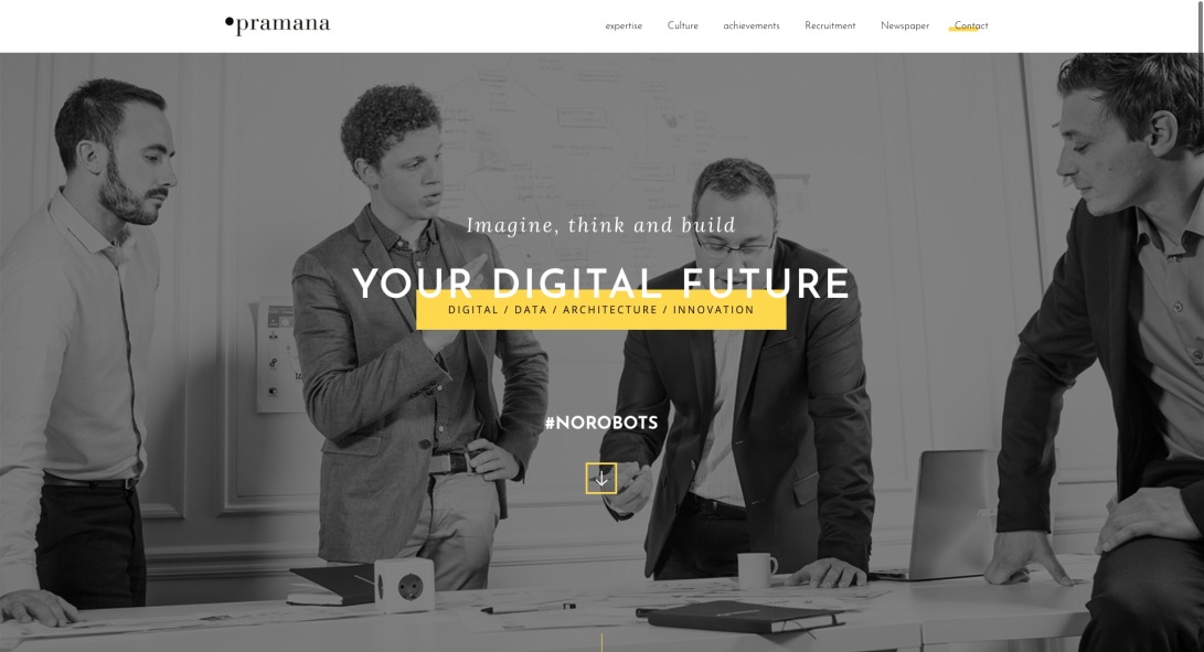 Pramana: Management and Technology Consulting Firm