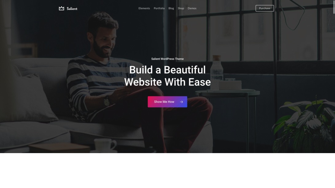 Salient – WordPress Theme