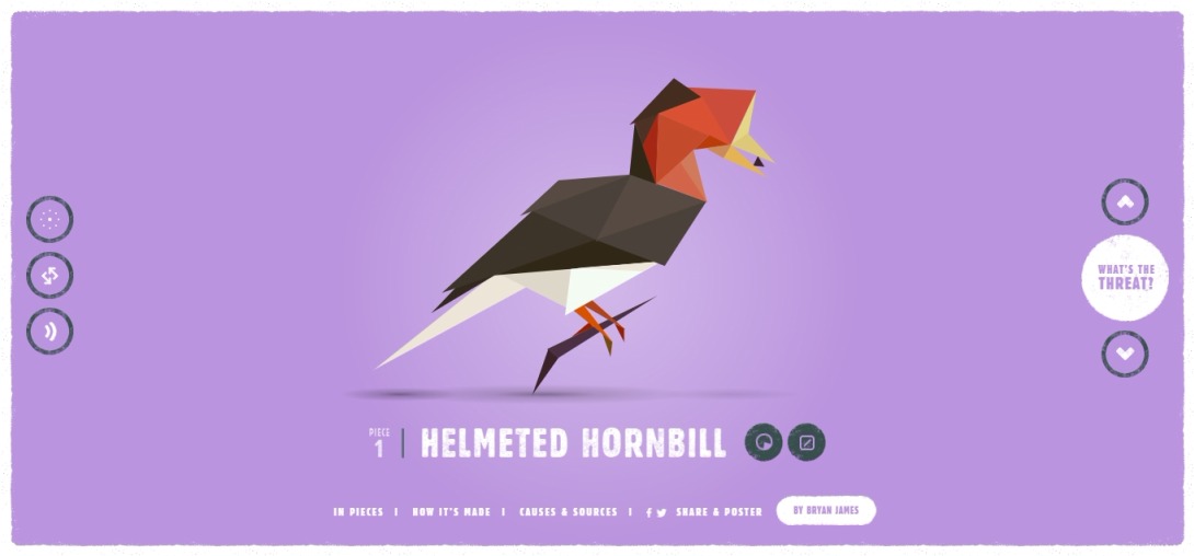 In Pieces - 30 Endangered Species, 30 Pieces.