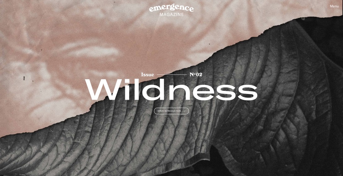 Emergence Magazine