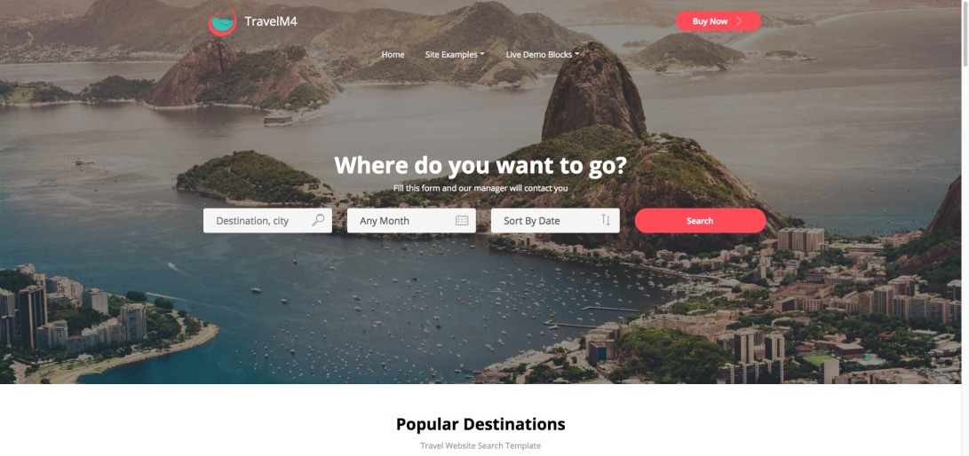 Travel Website Search Templates