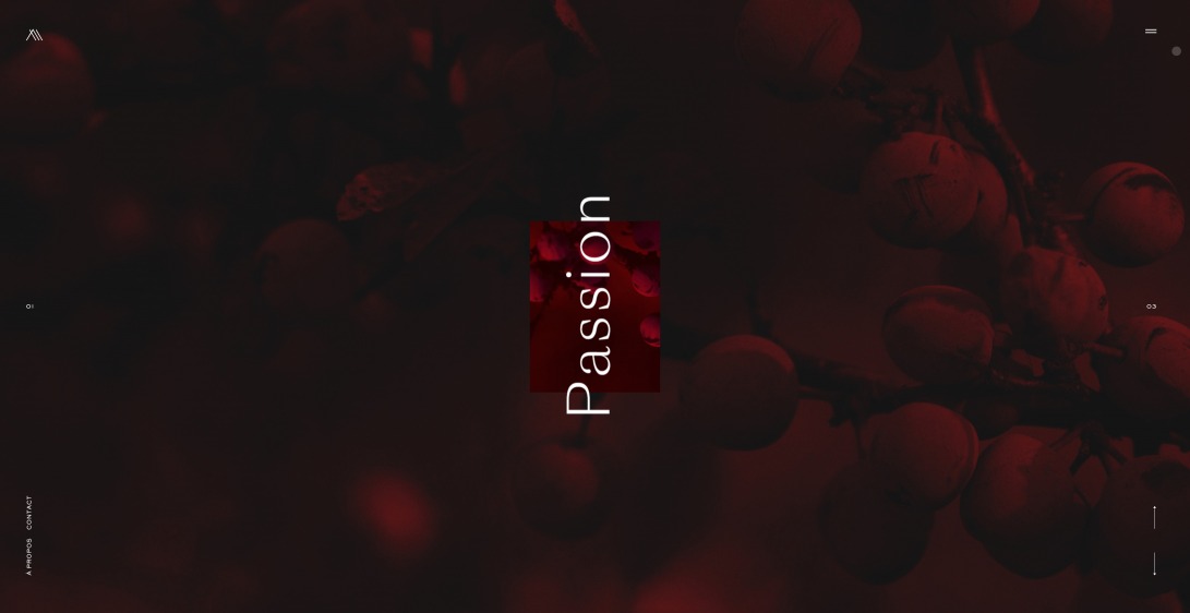 Millemann Consulting - Oenology & Viticulture expertise