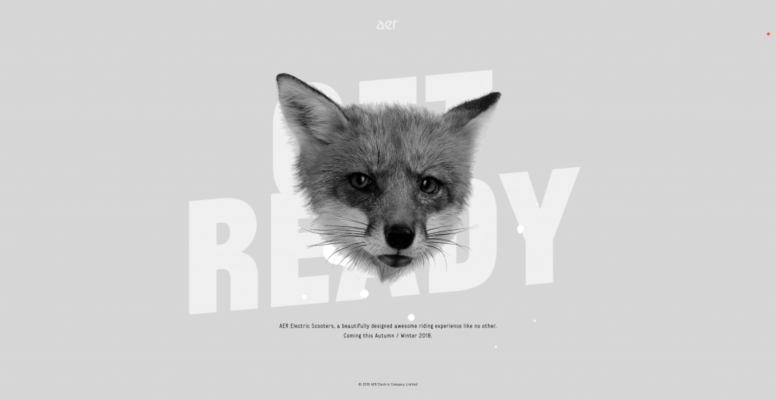 AER — An Electric Revolution