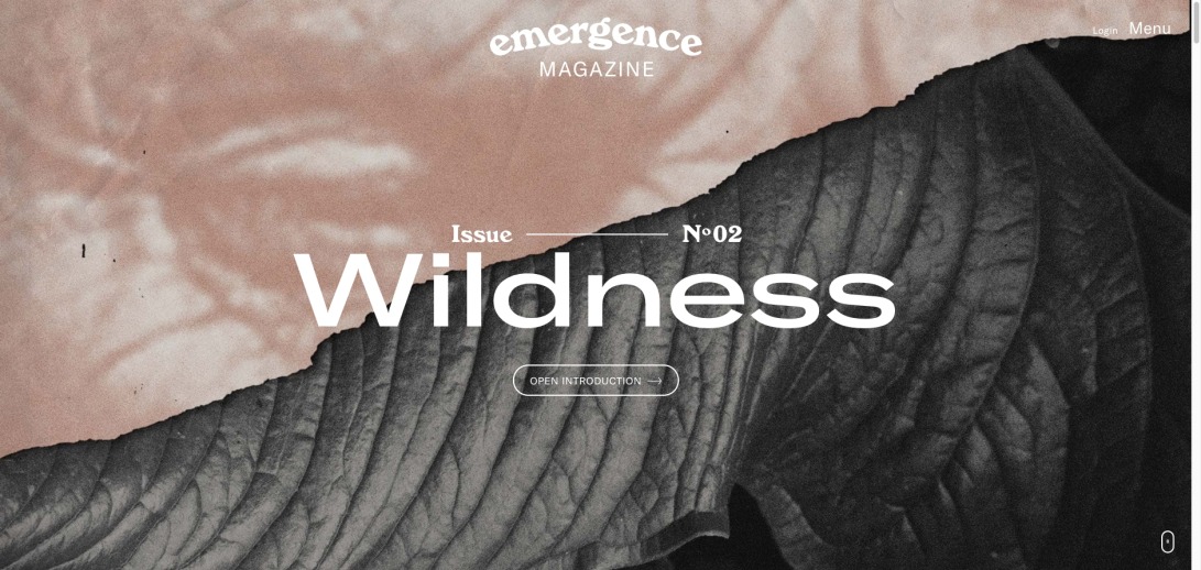 Emergence Magazine