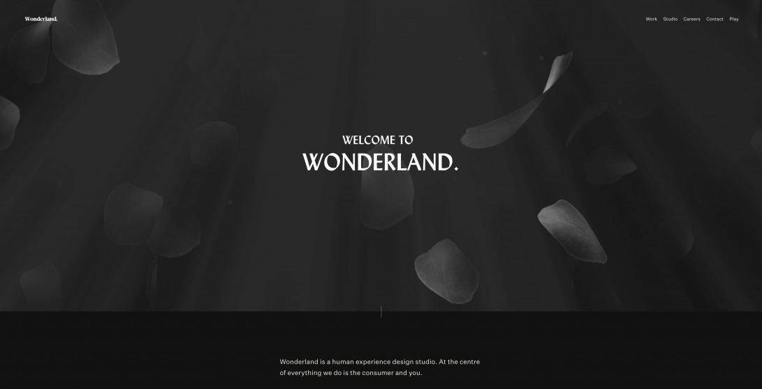 Wonderland. - Human Experience Design Studio in Amsterdam