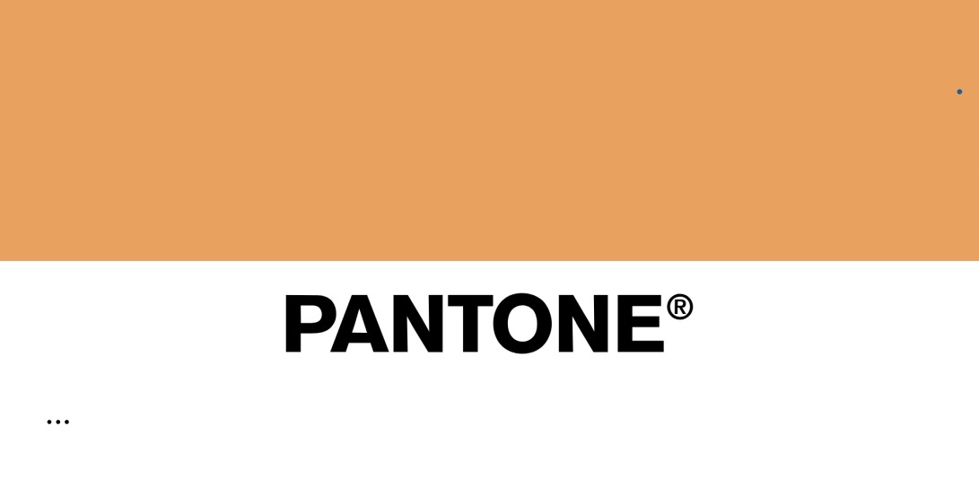 Color of the year 2019 — PANTONE 16-1546 Living Сoral TCX