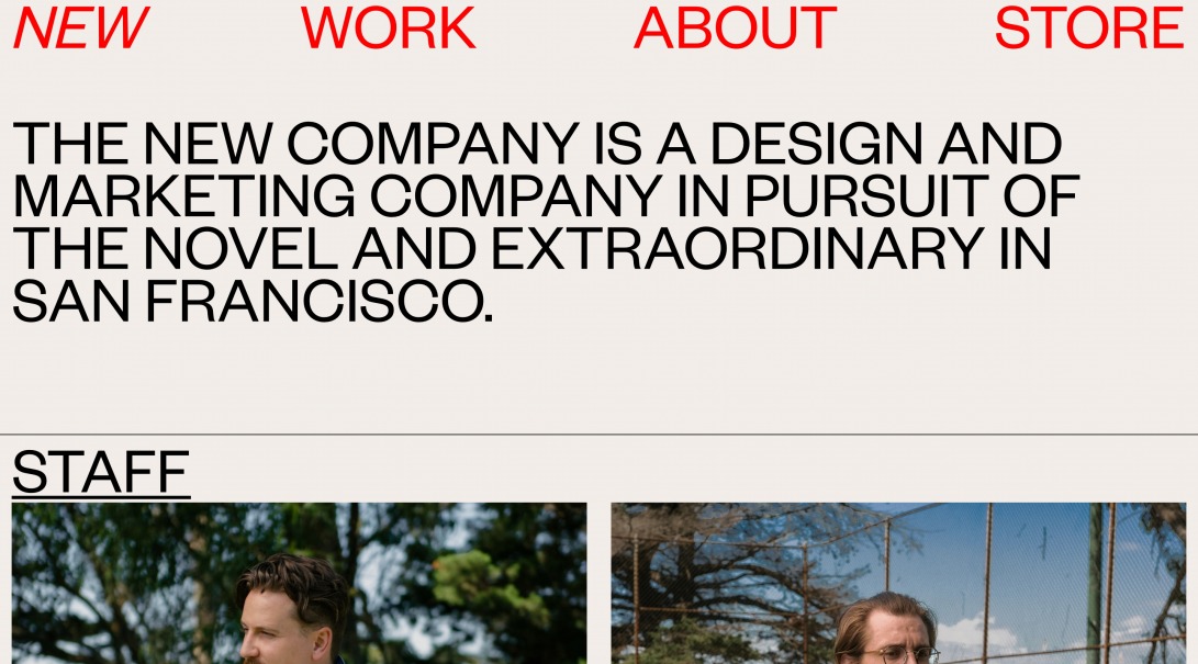 THE NEW COMPANY — ABOUT