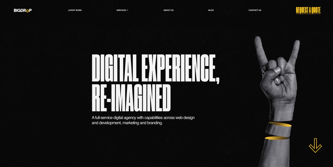 Web Design Company in New York - Website Development | Big Drop Inc