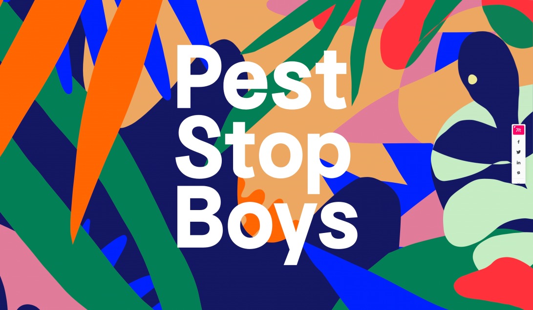 Pest Stop Boys - Pest Control in South East England