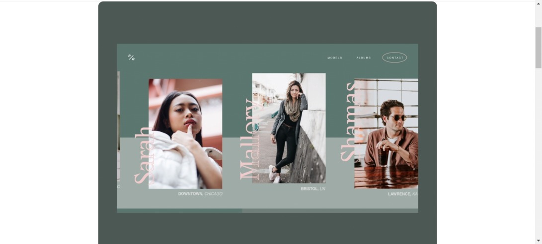 Fashion Photography Colour Slider by Tom Anderson for green chameleon on Dribbble