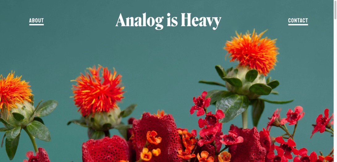 Analog is Heavy, a NYC-based creative studio with a focus on photography