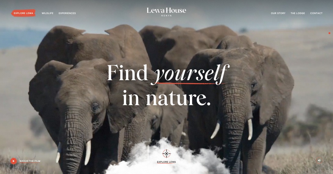 Lewa House - Wild Experience, Wild Landscape, Wild Life