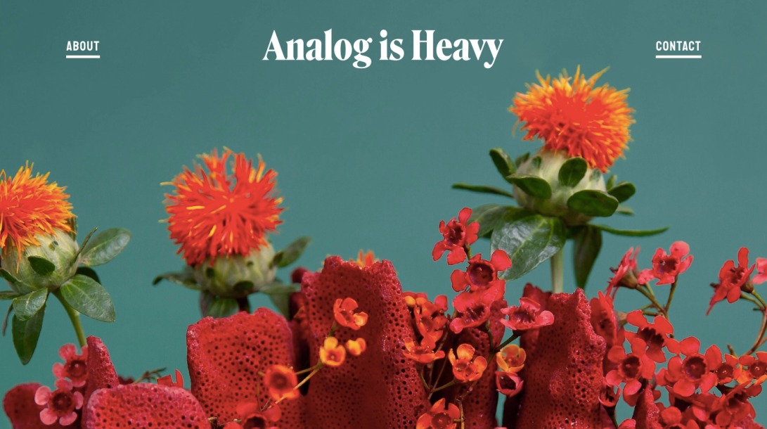 Analog is Heavy, a NYC-based creative studio with a focus on photography