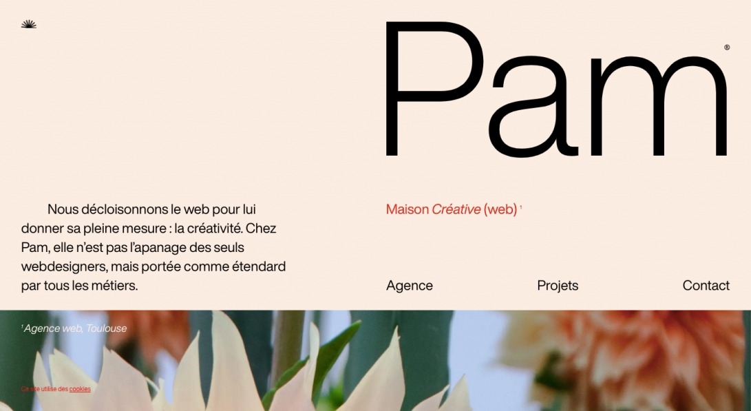 Agence web Toulouse, Pam — Création de site internet et stratégie