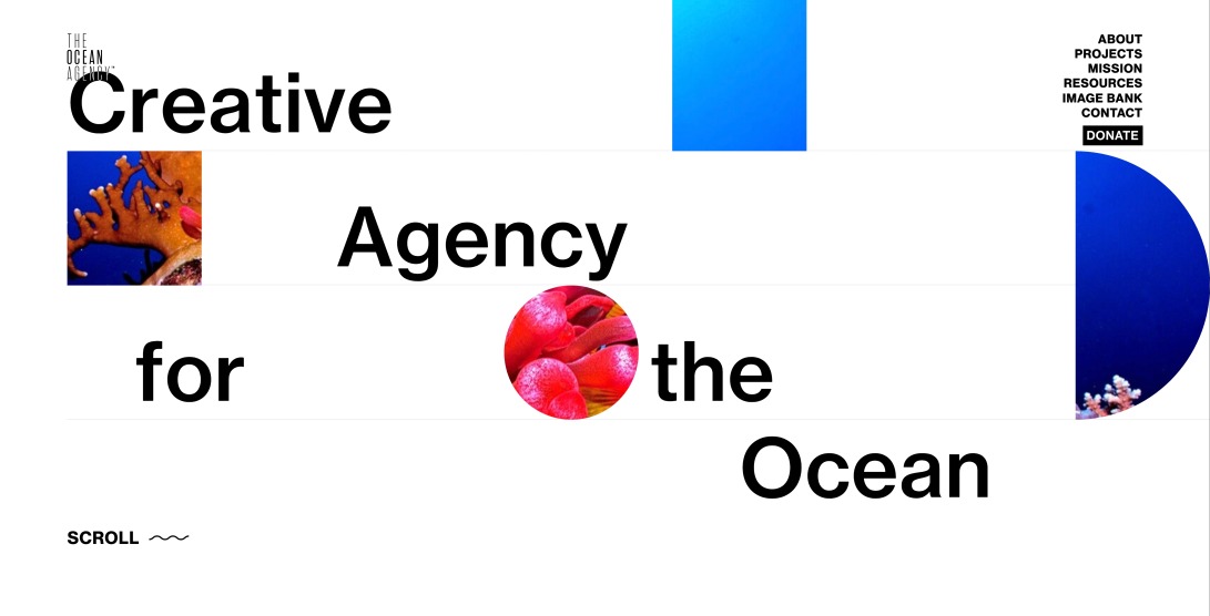 The Ocean Agency: Creative Agency for The Ocean - The Ocean Agency