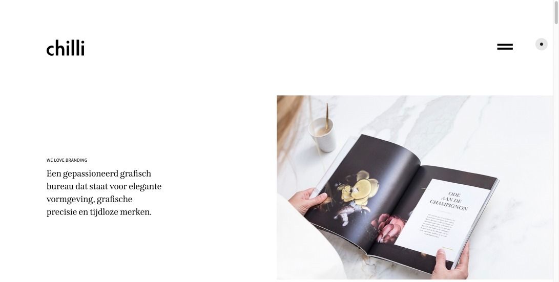 Grafisch ontwerpbureau - Ontwerp logo's - Branding &… | Chilli