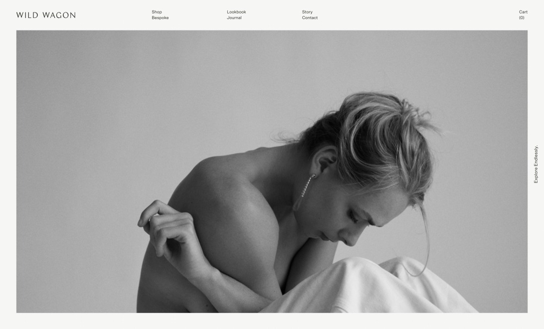 Wild Wagon ~ Explore Endlessly