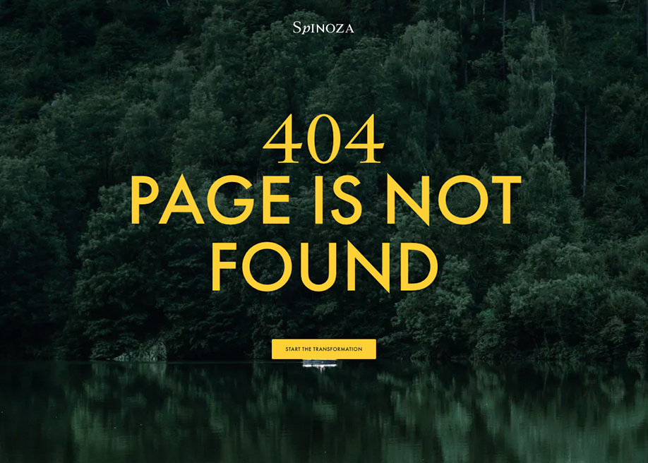 Spinoza - 404 error page
