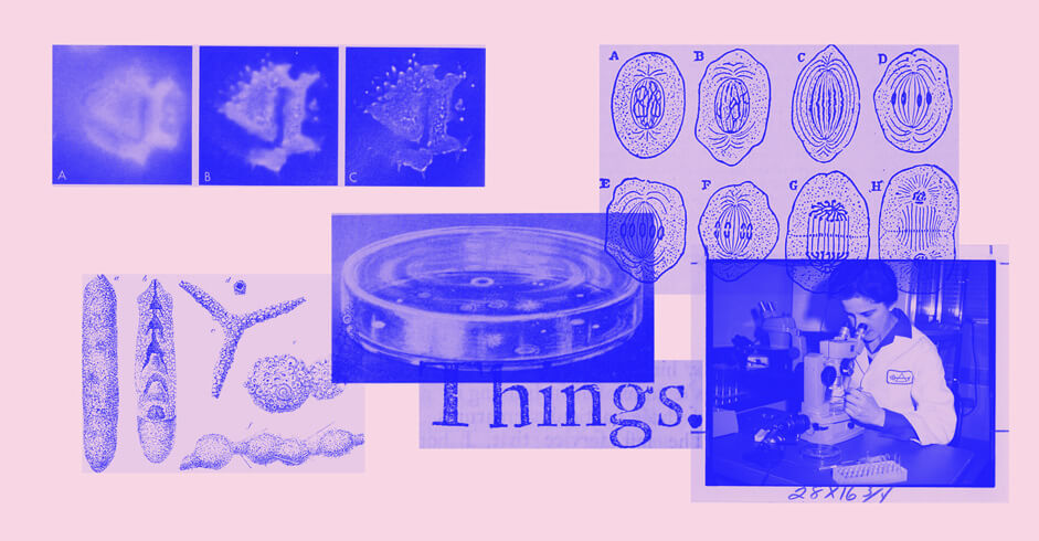 images of microscope, petri dish and microbes