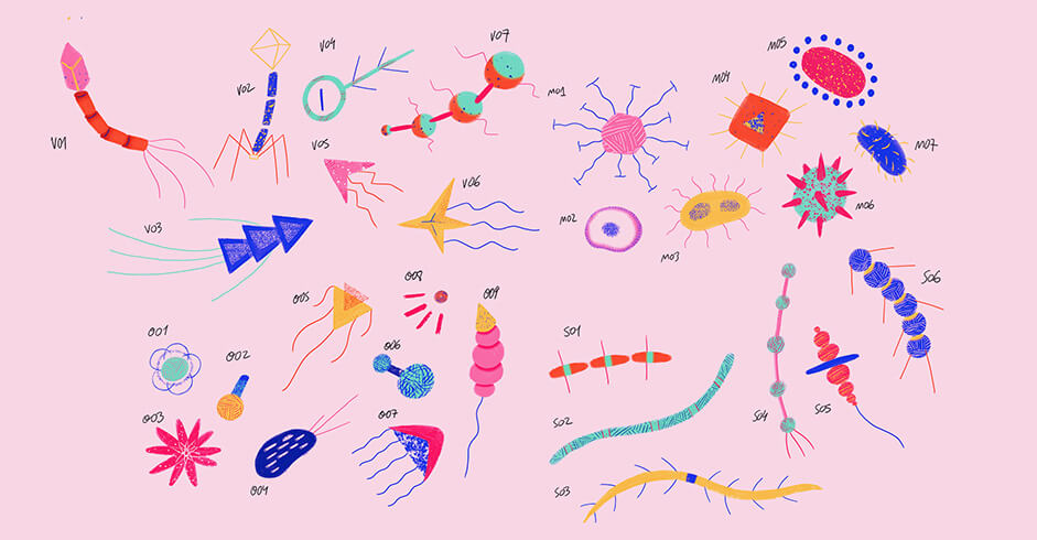 29 colored organisms