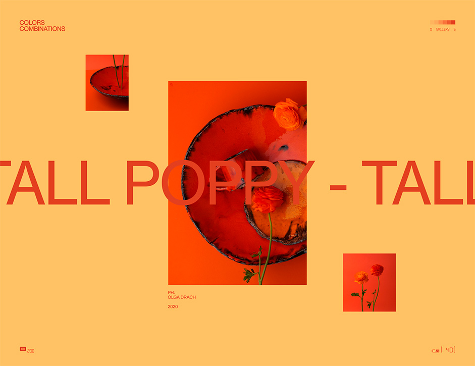 Tall Poppy screen