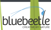 Blue Beetle award-winning website design screenshot 1