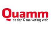 Quamm award-winning website design screenshot 1