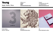 Young award-winning website design screenshot 1
